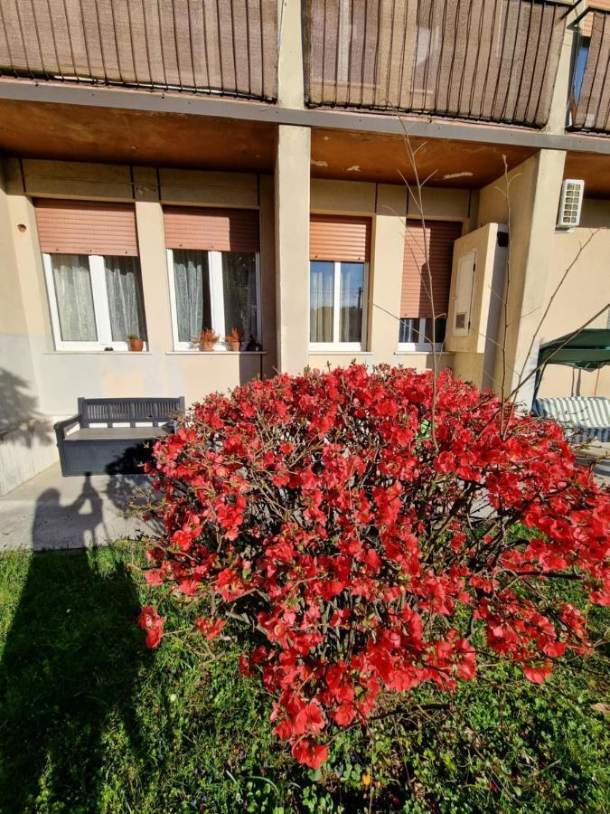 Alloggio Silva Gorizia Extérieur photo