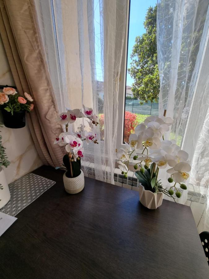 Alloggio Silva Gorizia Extérieur photo